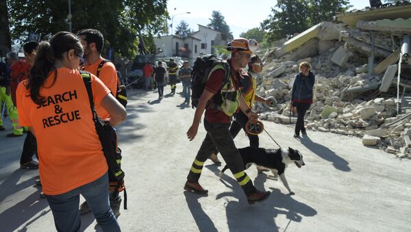 An emergency service personnal walks with his rescue dog next to volunteers participating in rescue operation near rubble and debris of a destroyed building marked with a security cordon and a excavator in the damaged central Italian village of Amatrice on August 26, 2016 two day after a 6.2-magnitude earthquake struck the region killing some 267 people - Sputnik International