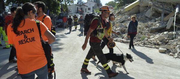 An emergency service personnal walks with his rescue dog next to volunteers participating in rescue operation near rubble and debris of a destroyed building marked with a security cordon and a excavator in the damaged central Italian village of Amatrice on August 26, 2016 two day after a 6.2-magnitude earthquake struck the region killing some 267 people An emergency service personnal walks with his rescue dog next to volunteers participating in rescue operation near rubble and debris of a destroyed building marked with a security cordon and a excavator in the damaged central Italian village of Amatrice on August 26, 2016 two day after a 6.2-magnitude earthquake struck the region killing some 267 people - Sputnik International
