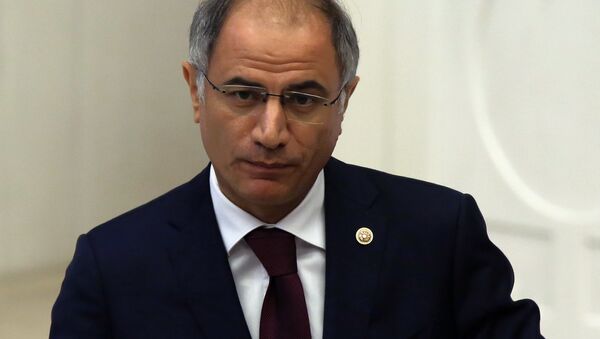 Turkish Interior Minister Efkan Ala (File) - Sputnik International