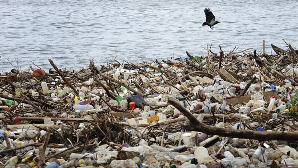 A bird flies past dumped plastic bottles and other garbage - Sputnik International