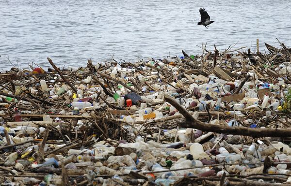A bird flies past dumped plastic bottles and other garbage - Sputnik International