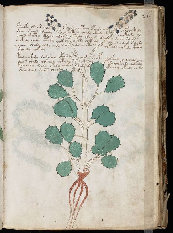 A page from the mysterious Voynich manuscript, which is undeciphered to this day. A page from the mysterious Voynich manuscript, which is undeciphered to this day. - Sputnik International