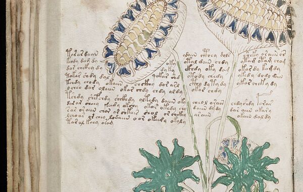 A page from the mysterious Voynich manuscript, which is undeciphered to this day. - Sputnik International