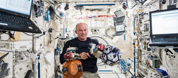 Commander Jeff Williams Commander Jeff Williams - Sputnik International