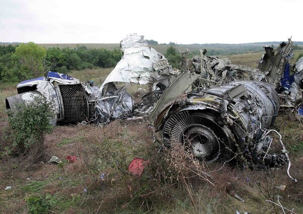 At the site of a Tu-154 crash in the village of Kamensk-Shakhtinsky, 138 kilometers away from Rostov-on-Don. The aircraft crashed on August 24, 2004. (File) At the site of a Tu-154 crash in the village of Kamensk-Shakhtinsky, 138 kilometers away from Rostov-on-Don. The aircraft crashed on August 24, 2004. (File) - Sputnik International