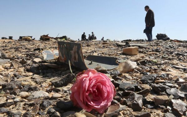 A flower is seen near debris at the crash site of a Russian airliner in al-Hasanah area in El Arish city, north Egypt, November 1, 2015. (File) A flower is seen near debris at the crash site of a Russian airliner in al-Hasanah area in El Arish city, north Egypt, November 1, 2015. (File) - Sputnik International