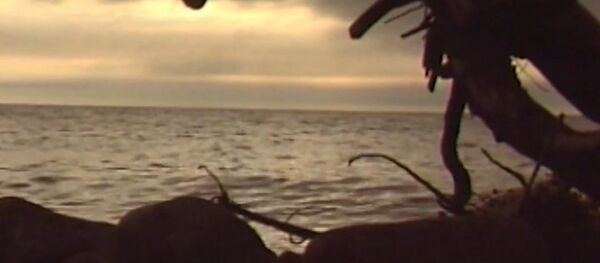 Siberian Pearl: Russia Celebrates Lake Baikal Day - Sputnik International