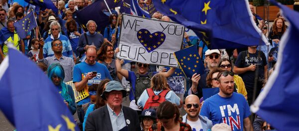 Pro-Europe demonstrators protest during a March for Europe against the Brexit vote result earlier in the year, in London, Britain, September 3, 2016. Pro-Europe demonstrators protest during a March for Europe against the Brexit vote result earlier in the year, in London, Britain, September 3, 2016. - Sputnik International