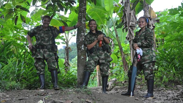FARC guerilla - Sputnik International