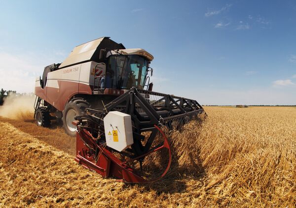 Combine harvester works the fields in southern Russia's Krasnodar Territory Combine harvester works the fields in southern Russia's Krasnodar Territory - Sputnik International