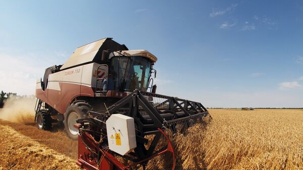 Combine harvester works the fields in southern Russia's Krasnodar Territory - Sputnik International