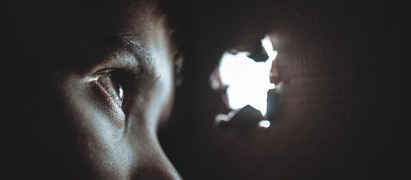 Hide and seek Hide and seek - Sputnik International