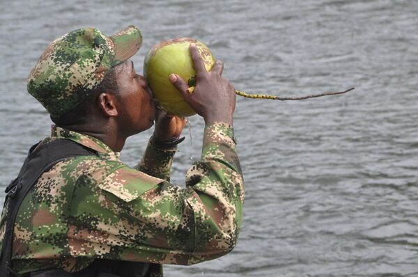 FARC fighter FARC fighter - Sputnik International