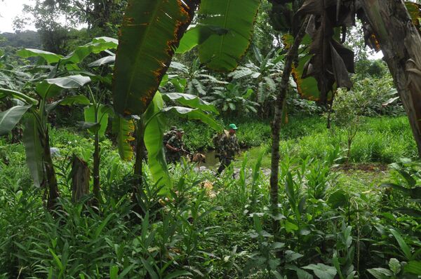 FARC fighters FARC fighters - Sputnik International