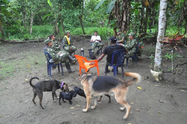 FARC fighters FARC fighters - Sputnik International