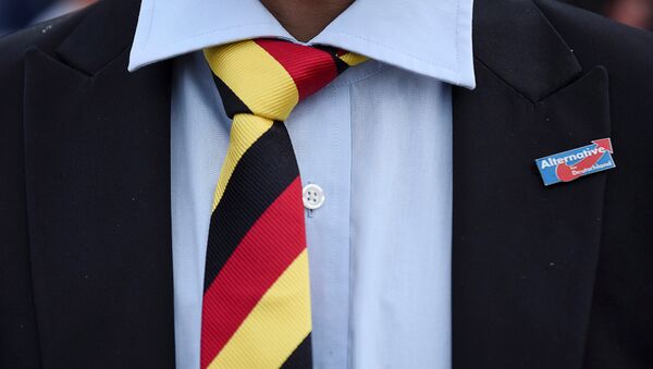 A man with a tie in German national colours wears a pin of the anti-immigrant Alternative for Deutschland (AfD) during the state election Mecklenburg-Vorpommern in Schwerin, Germany, September 4, 2016 - Sputnik International