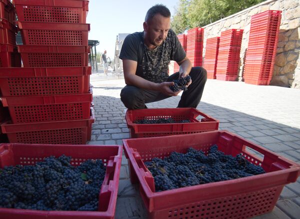 Paul Shvets' winery in Crimea. Paul Shvets' winery in Crimea. - Sputnik International