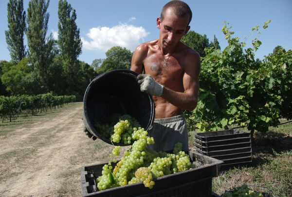 Alexey Akchurin’s Chateau Lucien winery in Crimea. Alexey Akchurin’s Chateau Lucien winery in Crimea. - Sputnik International