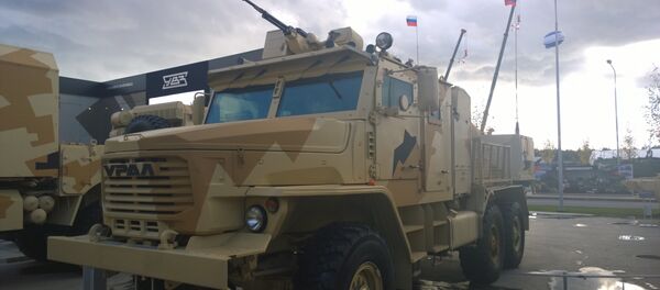 Phlox - Sputnik International