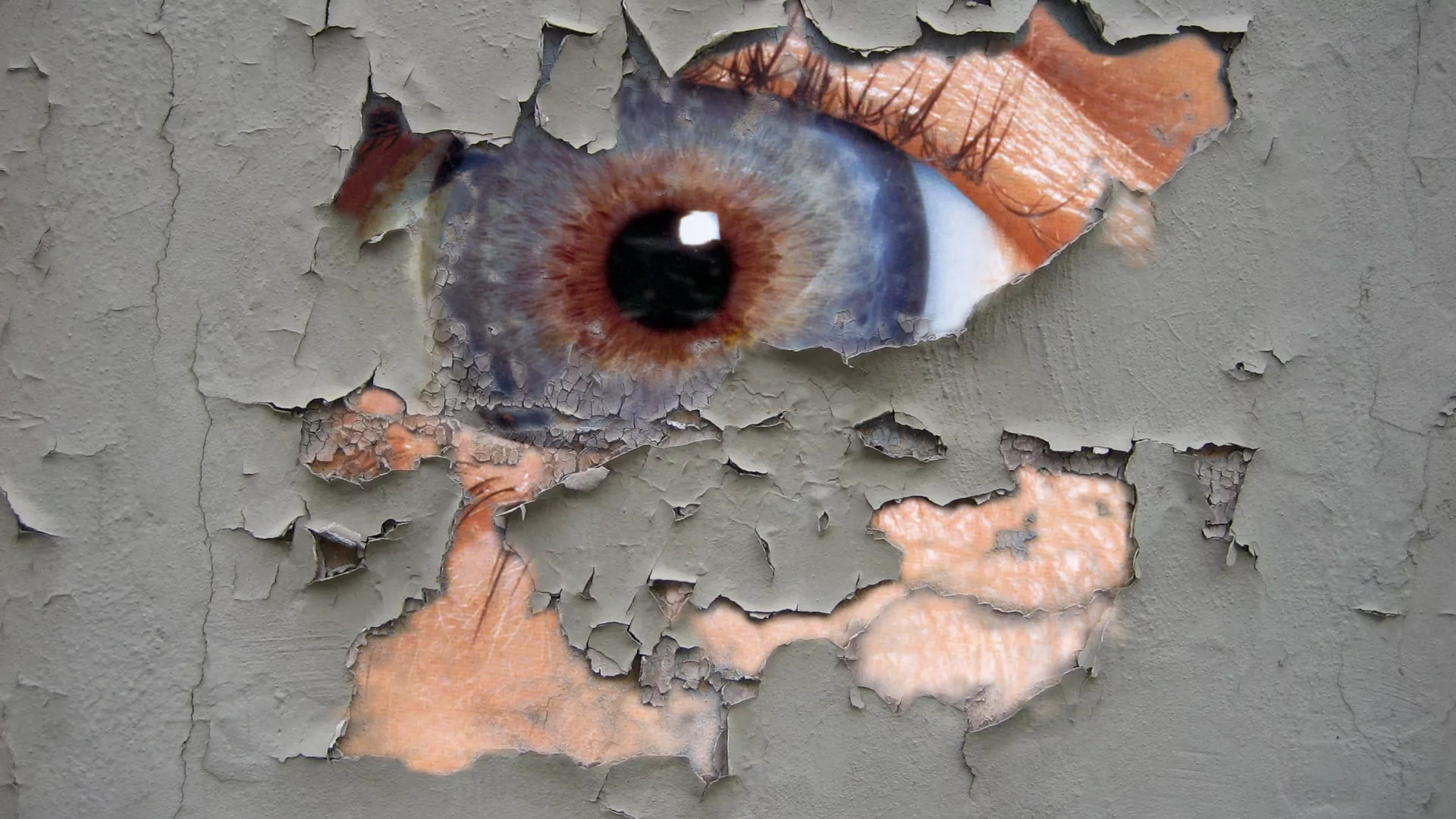 Giám sát - Sputnik International, 1920, 01.09.2024