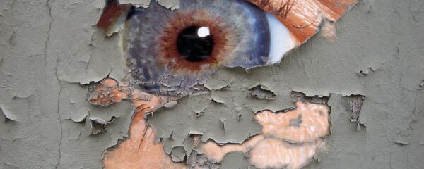 Surveillance Surveillance - Sputnik International