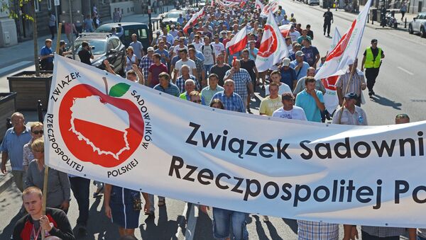 Polish fruit growers hold a protest rally in Warsaw demanding amendments to the anti-Russian sanctions in order to resume apple exports into Russia. file photo - Sputnik International