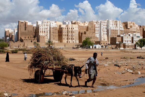 A Yemeni man pulls his donkey cart past the historical city of Shibam in Hadramaut province of eastern Yemen on October 28, 2008 A Yemeni man pulls his donkey cart past the historical city of Shibam in Hadramaut province of eastern Yemen on October 28, 2008 - Sputnik International