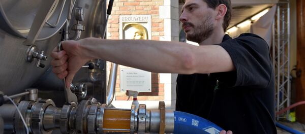 An employee of De Halve Maan brewery connects a pipe to feed beer into a truck in Bruges, September 15, 2016 An employee of De Halve Maan brewery connects a pipe to feed beer into a truck in Bruges, September 15, 2016 - Sputnik International