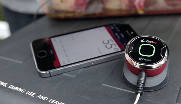 iGrill Mini iGrill Mini - Sputnik International