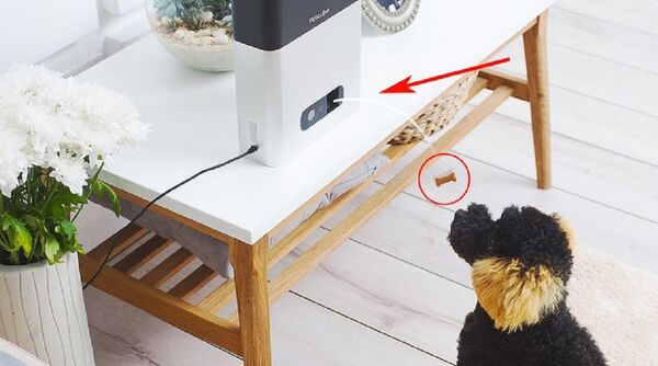 Petcube Bites & Petcube Play Petcube Bites & Petcube Play - Sputnik International