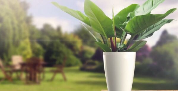 Parrot POT - Connected Plant Pot Parrot POT - Connected Plant Pot - Sputnik International