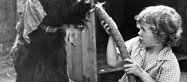 Child and dog play with a vacuum cleaner hose. Child and dog play with a vacuum cleaner hose. - Sputnik International