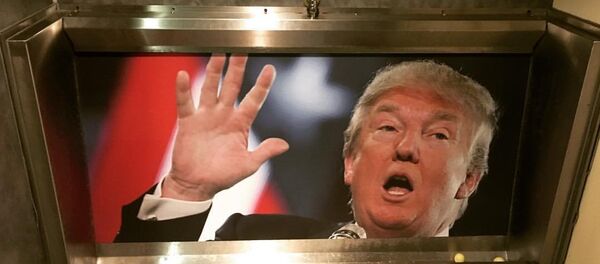 Donald Trump Urinals are all the range in some bars in the UK. Donald Trump Urinals are all the range in some bars in the UK. - Sputnik International