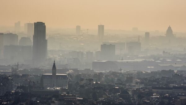 A layer of smog covers the city of Brussels on Friday March 14, 2014 - Sputnik International