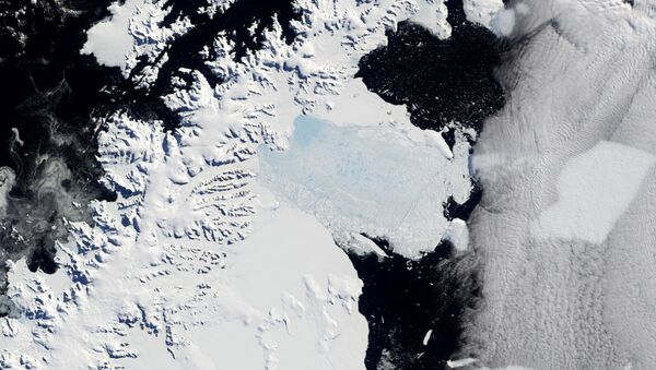 Larsen Ice Shelf - Sputnik International