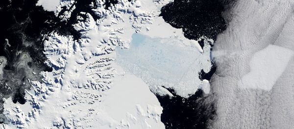 Larsen Ice Shelf Larsen Ice Shelf - Sputnik International