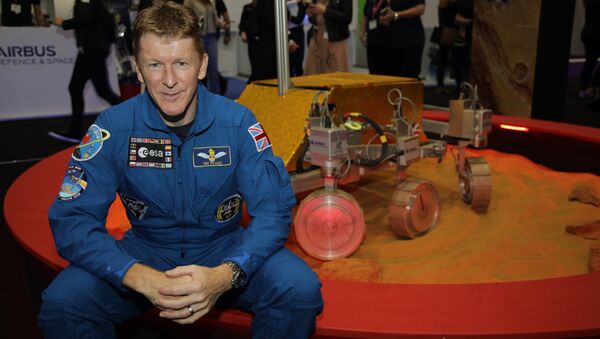 British astronaut Tim Peake - Sputnik International