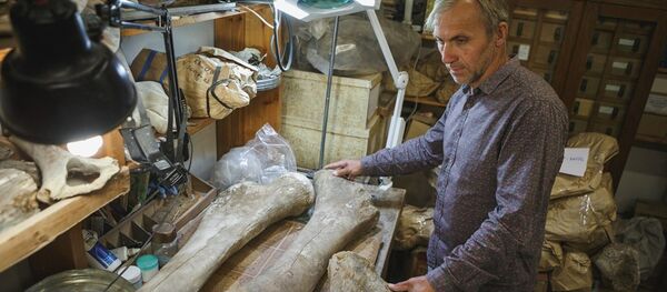 Scientist of the Tomsk State University Sergei Leschinsky - Sputnik International