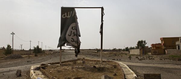 Partially destroyed DAESH banner hangs at the entrance to Qayara, Iraq (File) Partially destroyed DAESH banner hangs at the entrance to Qayara, Iraq (File) - Sputnik International