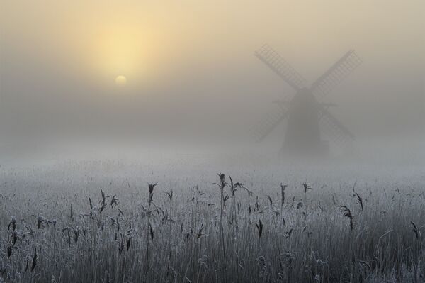 Freezing Fog and Hoar Frost by Andrew Bailey (3 место) - Sputnik International