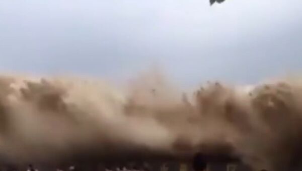 The moment spectators got hit and swallowed by the strong tidal bore of Qiantang River in east China - Sputnik International