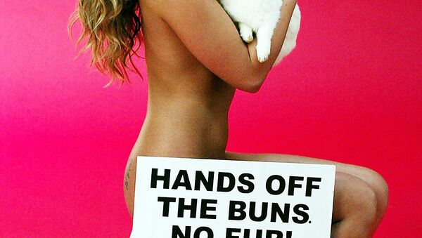Naked Australian model and singer Imogen Bailey holds Reggie the rabbit during filming for an anti-fur campaign ad sponsored by the environmental group People for the Ethical Treatment of Animals (PETA) in Sydney, 25 March 2004. - Sputnik International