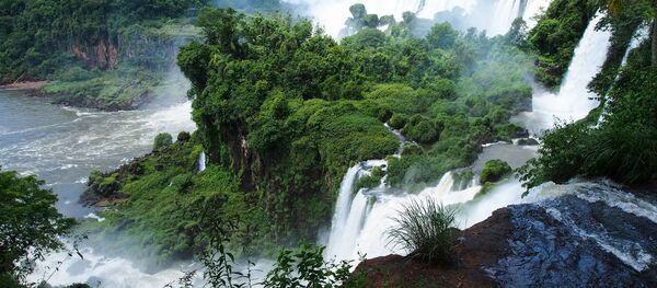 At the Iguazu Waterfall on the Argentina side At the Iguazu Waterfall on the Argentina side - Sputnik International