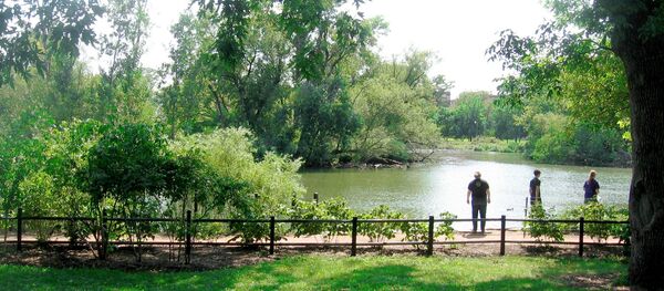 Human Head in Garbage Bag Found Floating in Chicago Park - Sputnik International