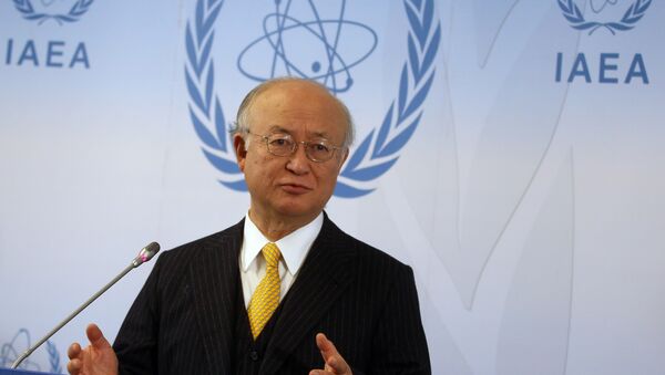 Director General of the International Atomic Energy Agency, IAEA, Yukiya Amano of Japan addresses the media during a news conference after a meeting of the IAEA board of governors at the International Center in Vienna, Austria. (File) - Sputnik International