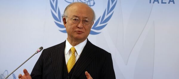 Director General of the International Atomic Energy Agency, IAEA, Yukiya Amano of Japan addresses the media during a news conference after a meeting of the IAEA board of governors at the International Center in Vienna, Austria. (File) - Sputnik International