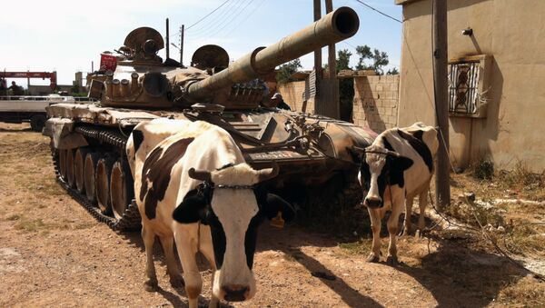 Cows standing next to a Syrian army tank in Dabaa, north of Qusayr, in Syria's central Homs province (File) - Sputnik International