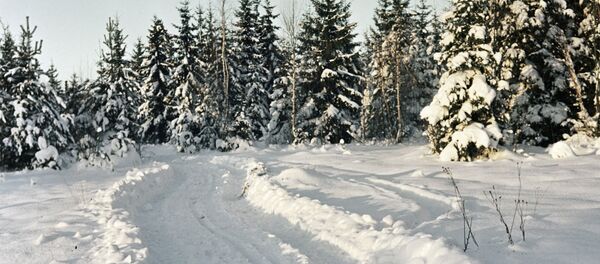 Wintertime - Sputnik International