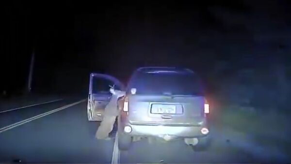 Deer attacks driver after being struck by car - Sputnik International