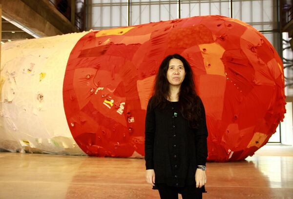 Yin Xiuzhen's 'pill' Yin Xiuzhen's 'pill' - Sputnik International